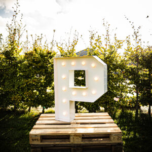 Letter P