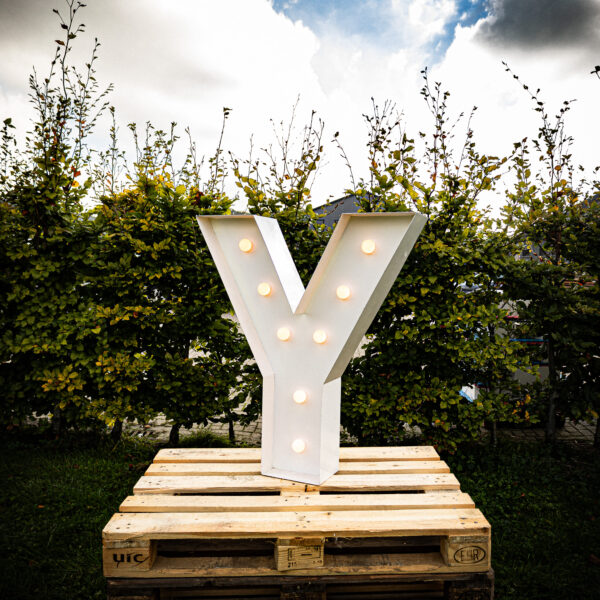 Letter Y