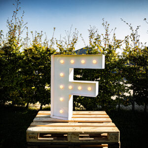 Letter F