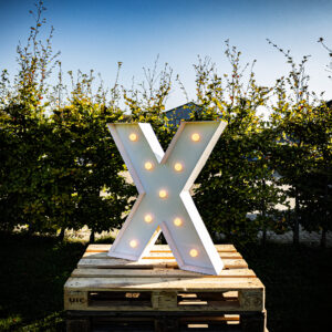 Letter X